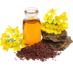 Mustard Oil