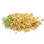 Coriander Seeds
